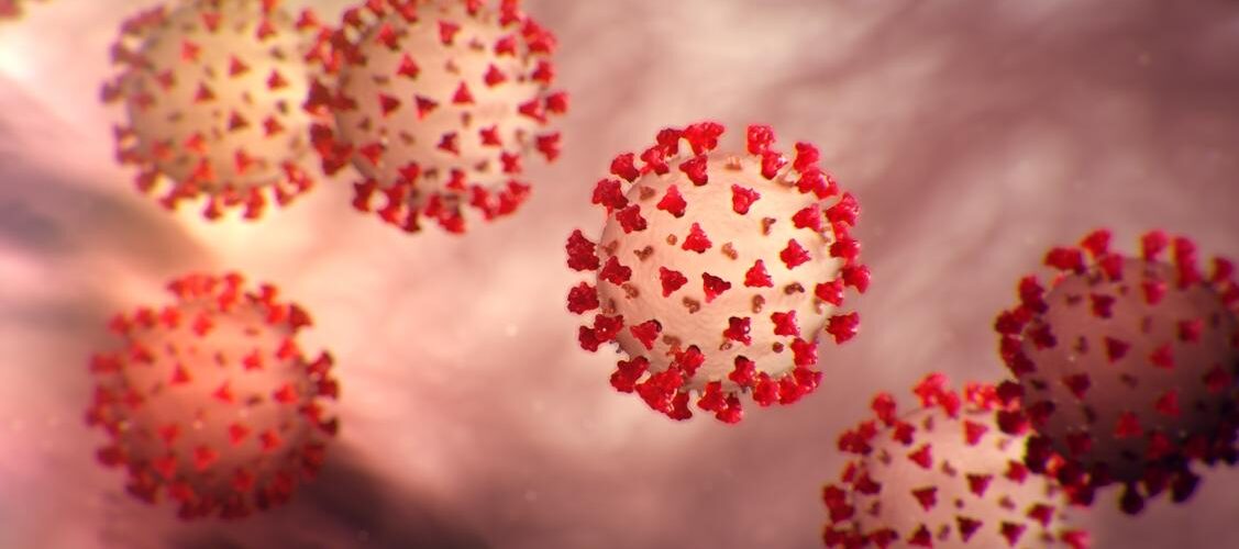 1584619726CORONA VIRUS G8lUl7F 1127x500