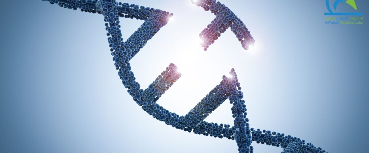 Untitled design 3 1200x500