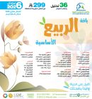 باقة الربيع الأساسية