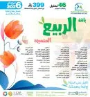 باقة الربيع المتميزة